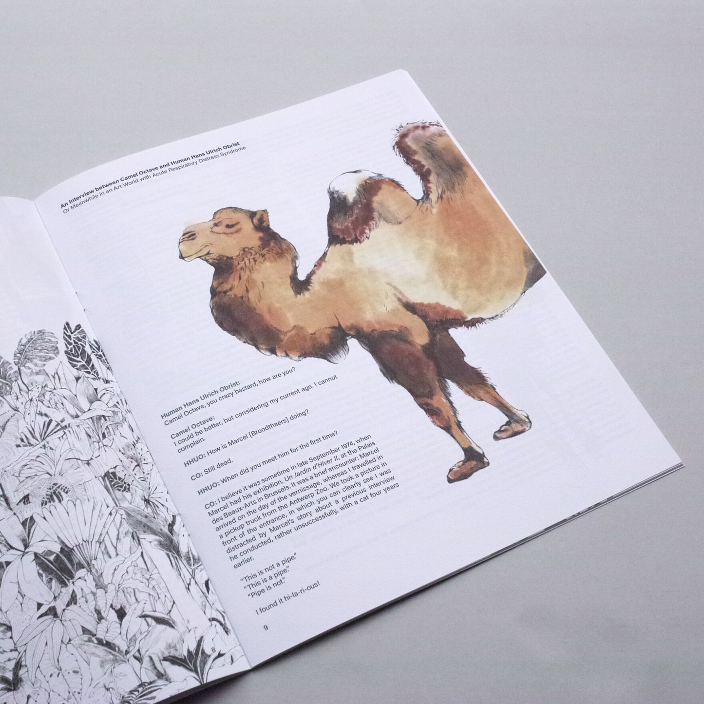 BESTIARY OF CORONA ANIMALS
