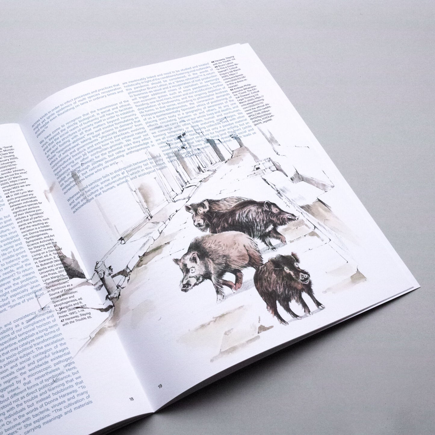 BESTIARY OF CORONA ANIMALS