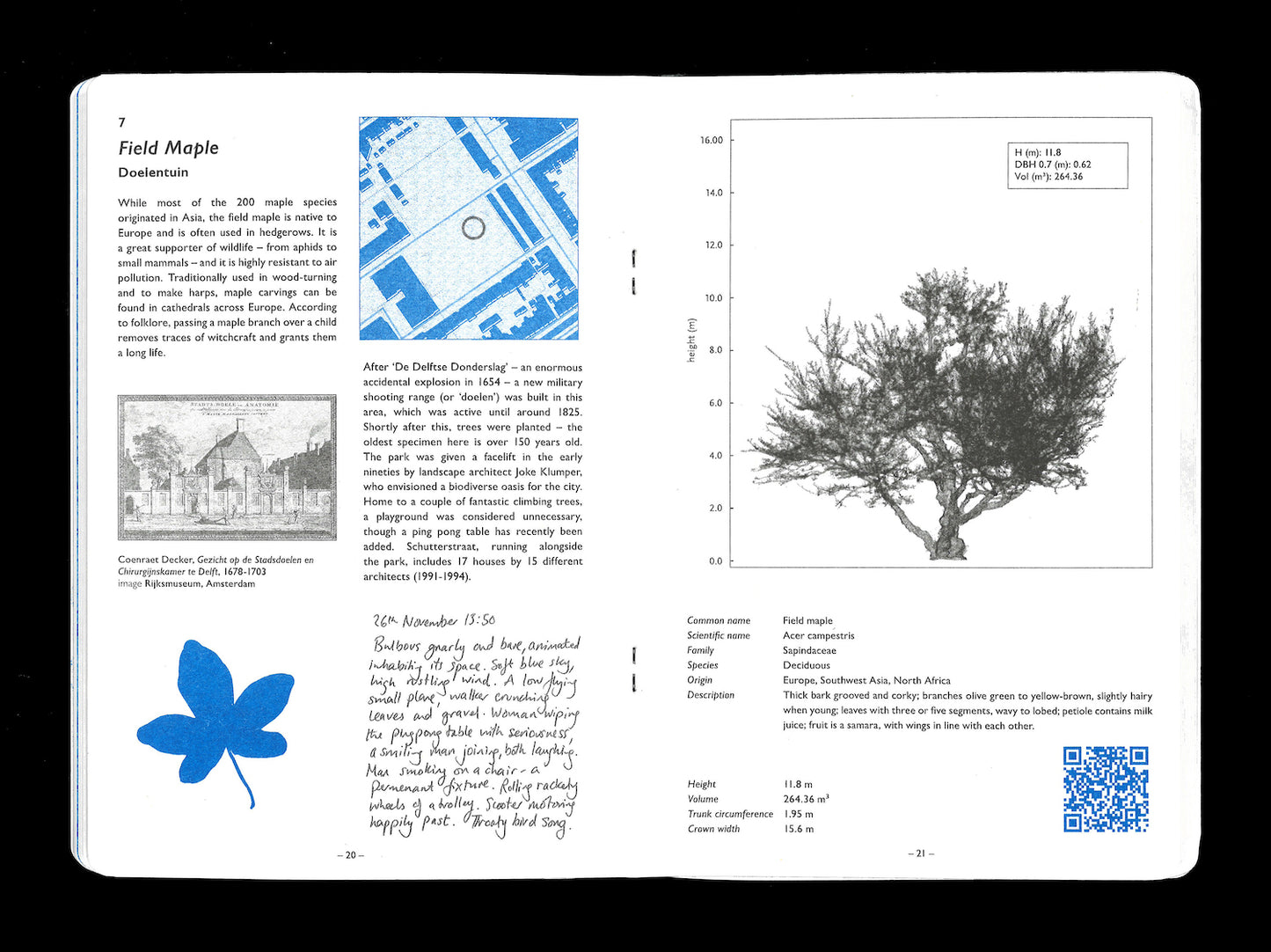 SIXTEEN TREES OF DELFT — Een Gids voor Stadsverkenning