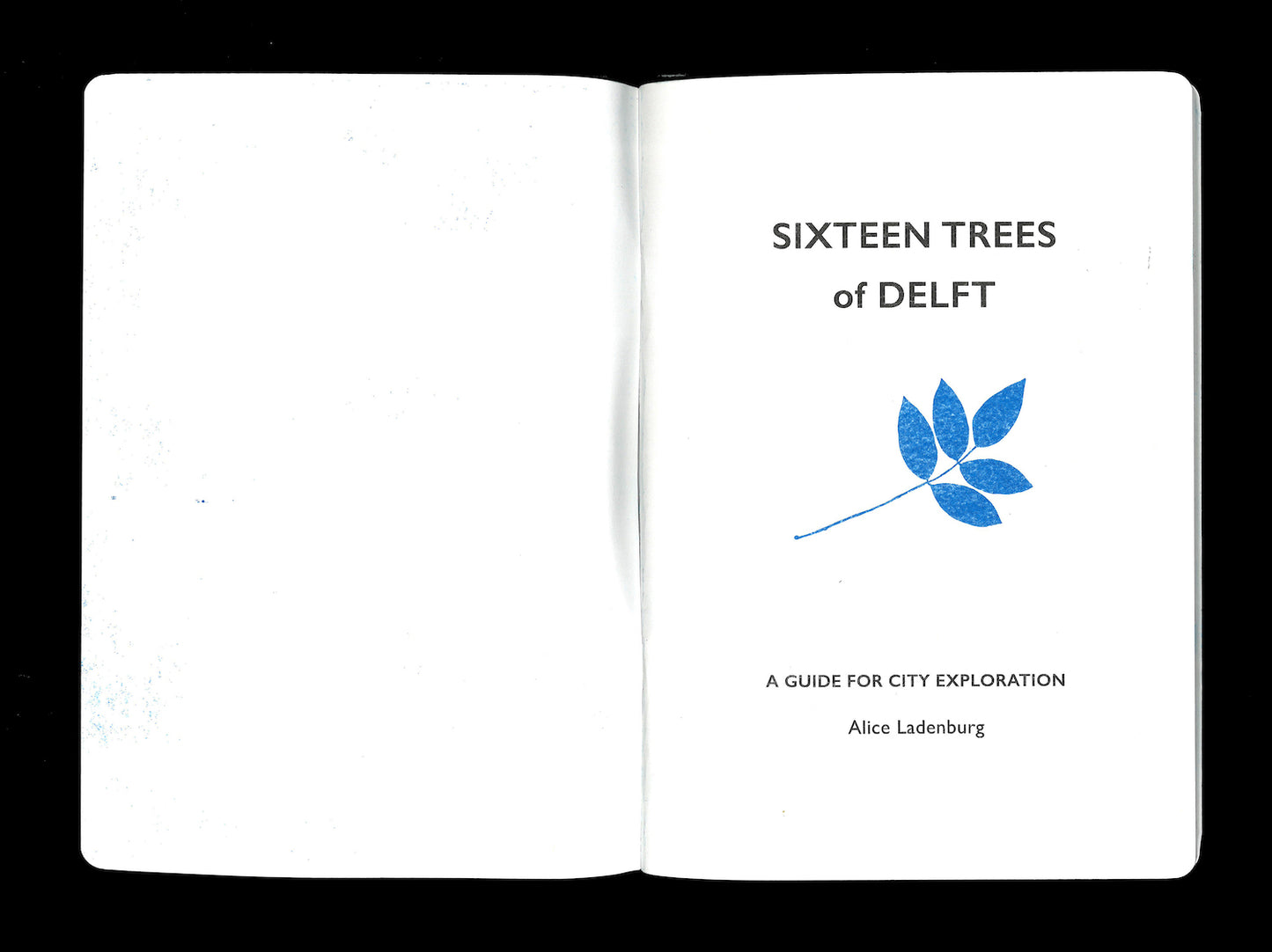 SIXTEEN TREES OF DELFT — Een Gids voor Stadsverkenning