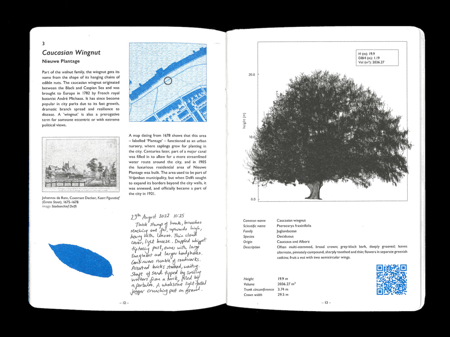 SIXTEEN TREES OF DELFT — Een Gids voor Stadsverkenning