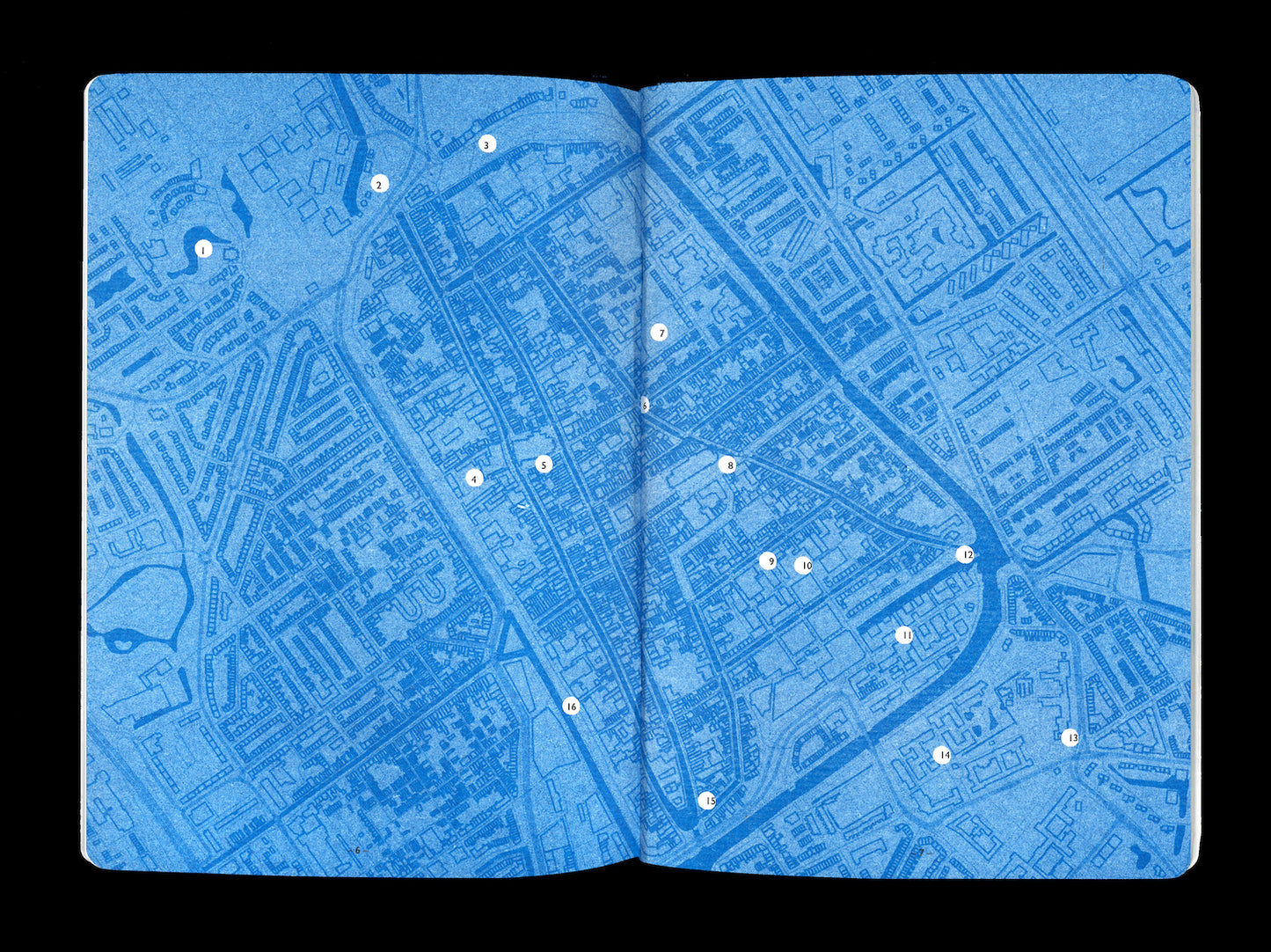 SIXTEEN TREES OF DELFT — Een Gids voor Stadsverkenning