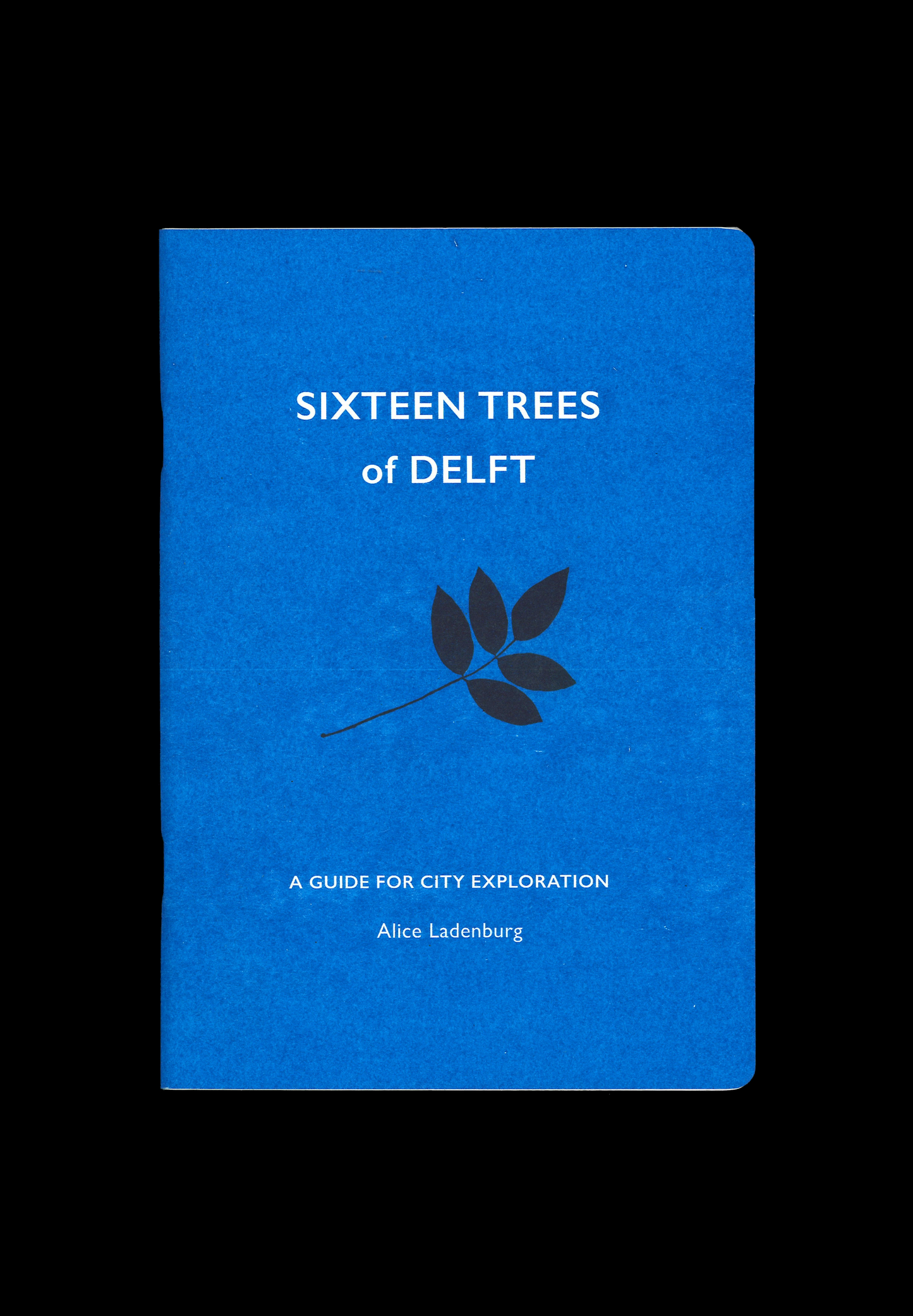 SIXTEEN TREES OF DELFT — Een Gids voor Stadsverkenning